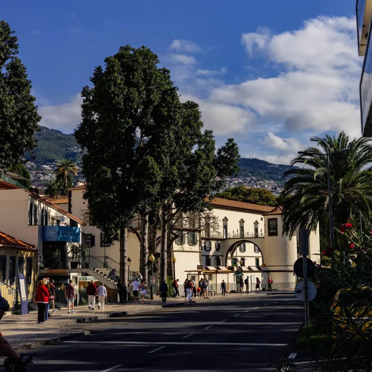 Madeira-3