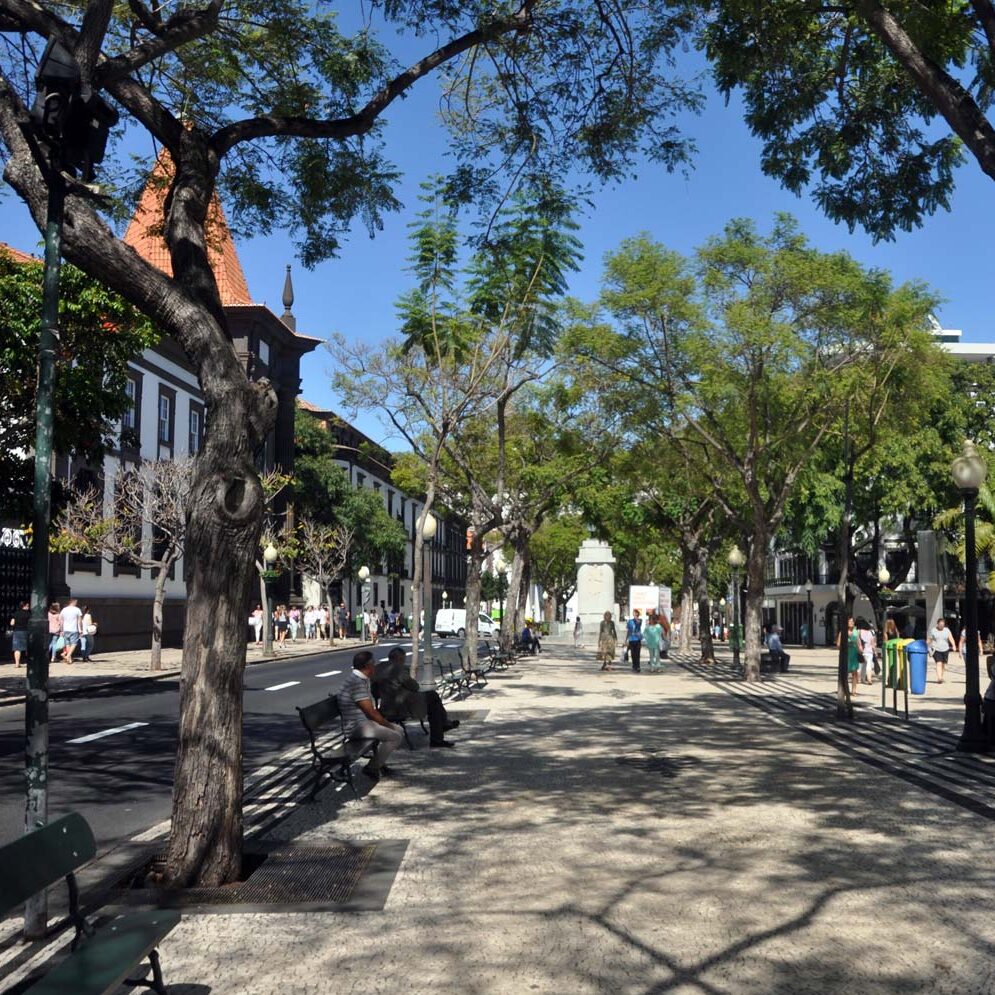 funchal-ikona