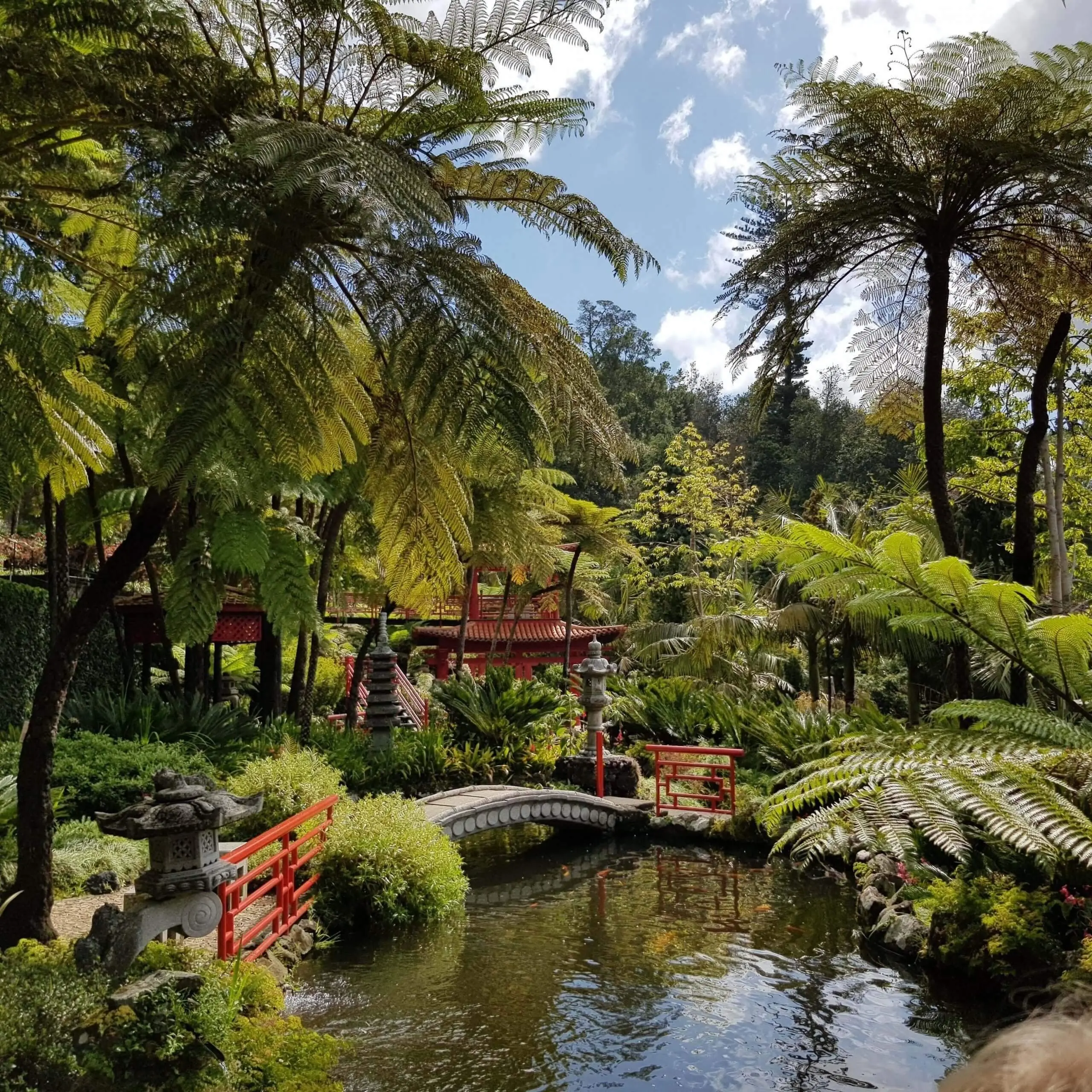 madeira-cable-car-botanical-gardens-madeira-tropical-gardens-1-e1675972663280.jpg